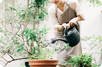 生活・ライフスタイル